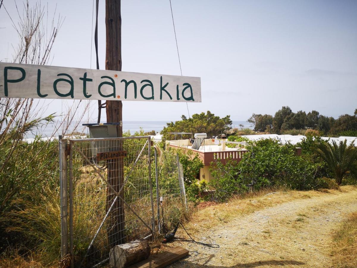 미르토스 Platanakia 빌라 외부 사진